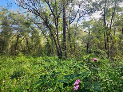 San Juan St, Deland, FL, 32724