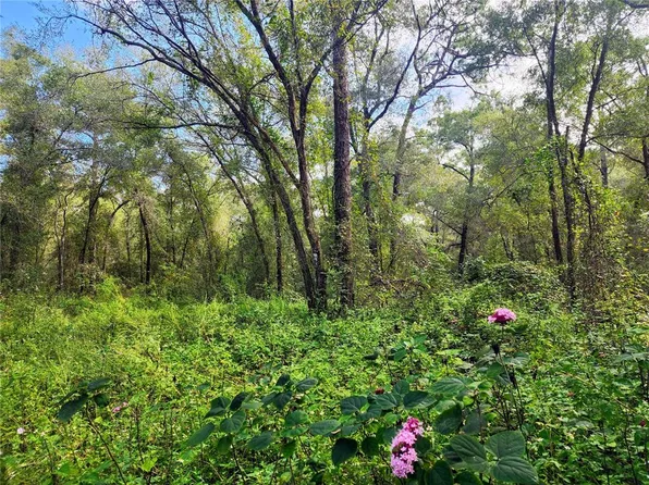 San Juan St, Deland, FL 32724