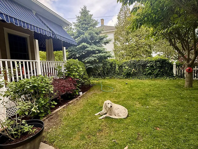 331 Richmond Ave — Photo 45