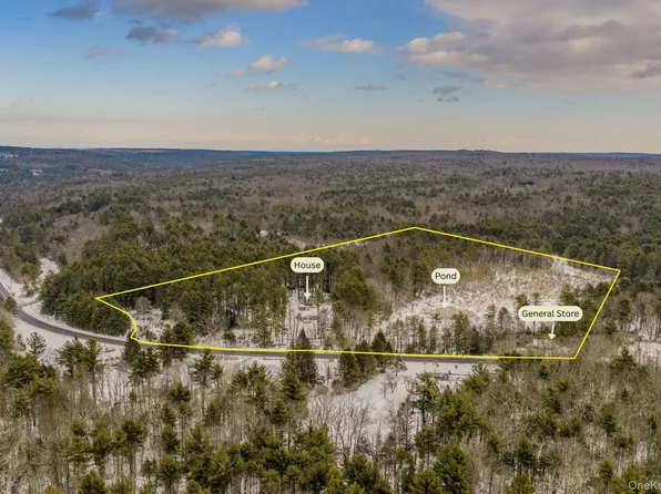 1124 State Route 42, Sparrowbush, NY 12780