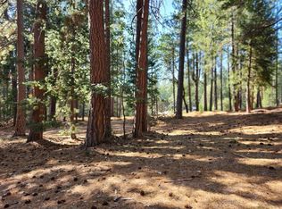 165 Secret Town Ln, Colfax, CA 95713