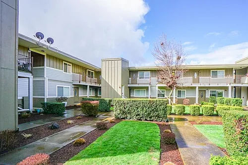 Trees Apartment Available Now Photo 1