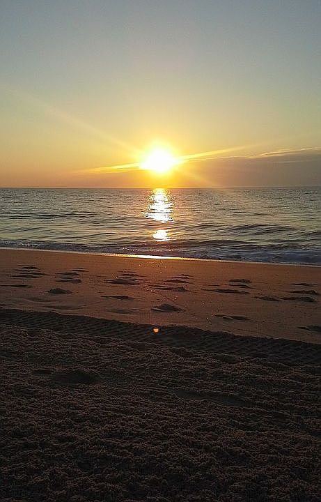 Beautiful Savannah Beach 