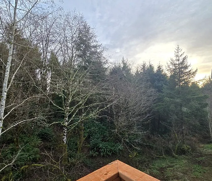 4265 Sequoia Loop — Photo 24