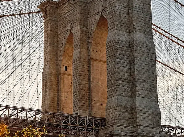 567 Fulton Street image 25 of 25