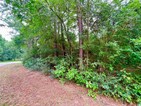 30803 Green Forest Dr Lot 98, Magnolia, TX 77354