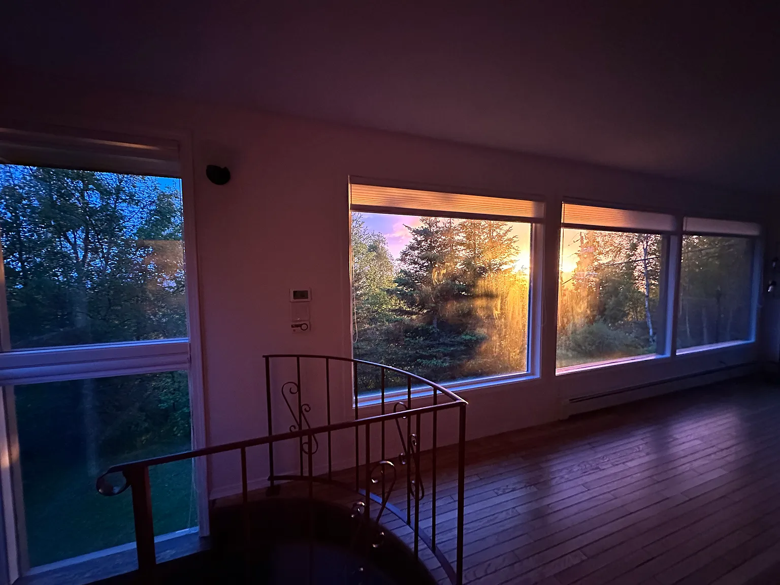 8241 Longhorn St — Photo 4