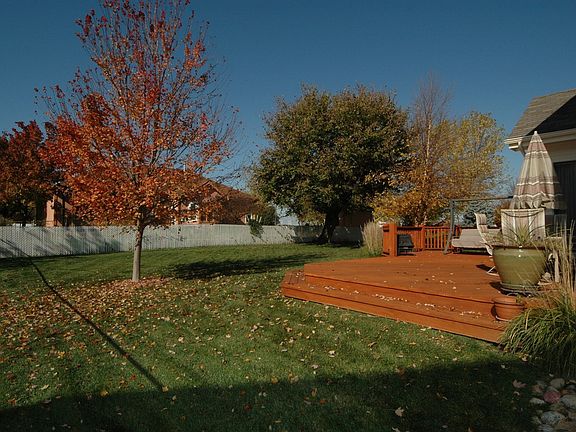 Large back yard