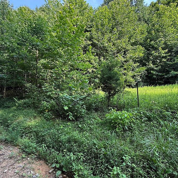 1st image of Johnson Cemetery Rd