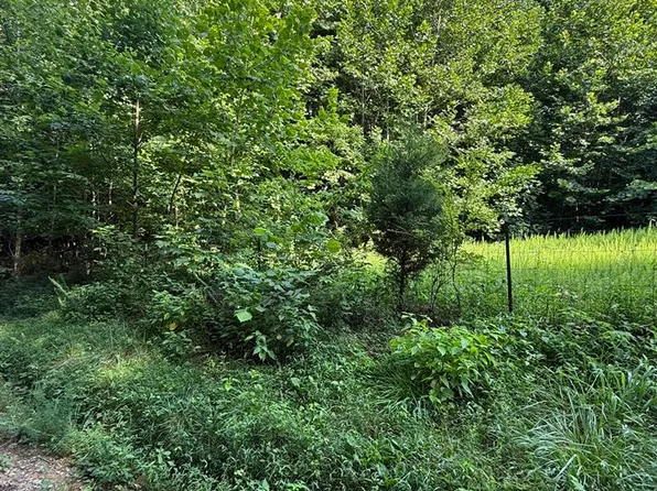 Johnson Cemetery Rd, Morgantown, KY 42261