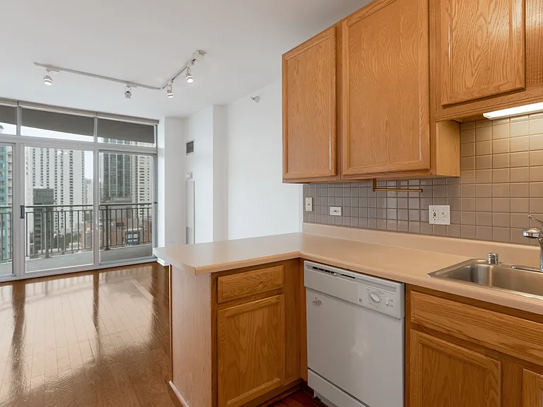 600 N Dearborn St #1505 — Photo 12