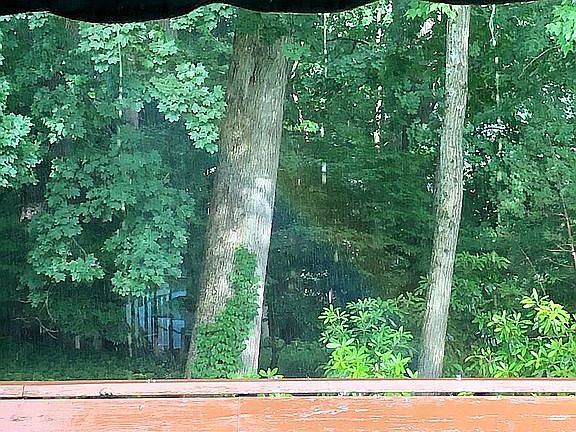 Deck view to woods