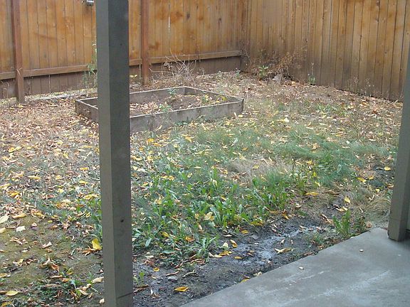 5th image of 2214 E 30th St APT 5