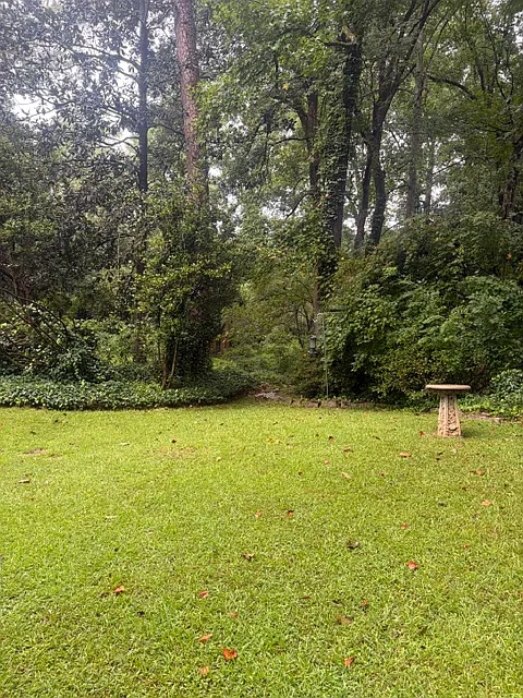 3 bed, 1600 sqft, $2,850 — Photo 4