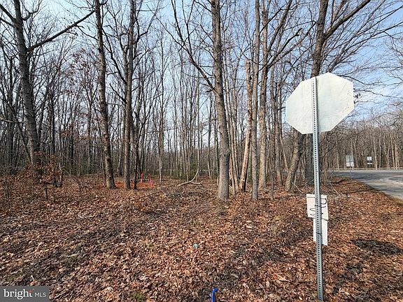 3rd image of Marsh Rd