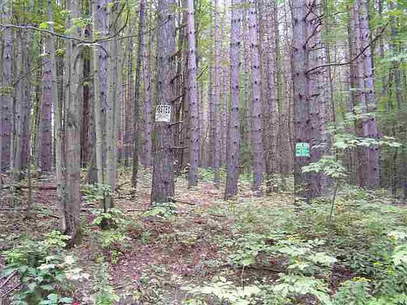 3rd image of 000 UPCOUNTY Road