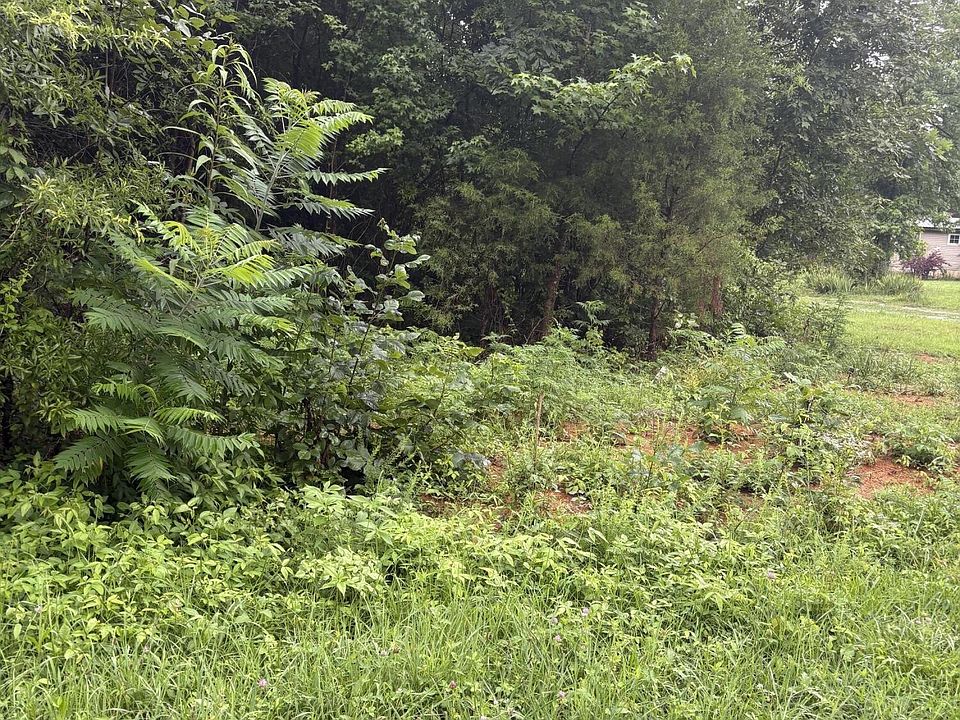 2nd image of 349 Carolyn Ln Lot 56