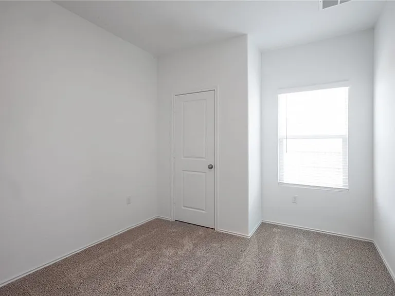 15302 Grenadine Bloom Cv — Photo 11
