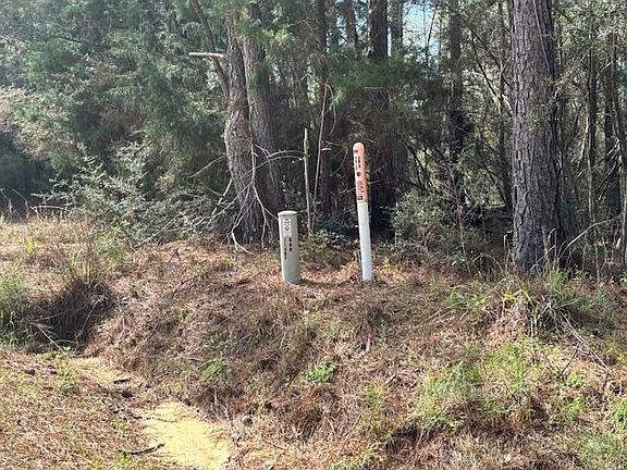 5th image of Conecuh River Church Rd