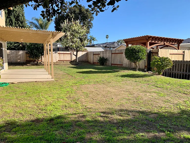 Back Yard