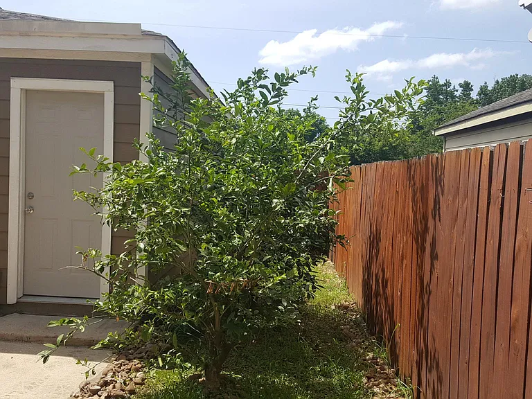 2107 Rustling Trees Way — Photo 31