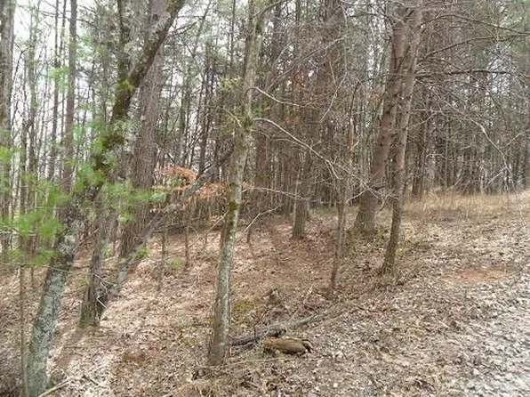 177 High Vista Ter, Demorest, GA 30535