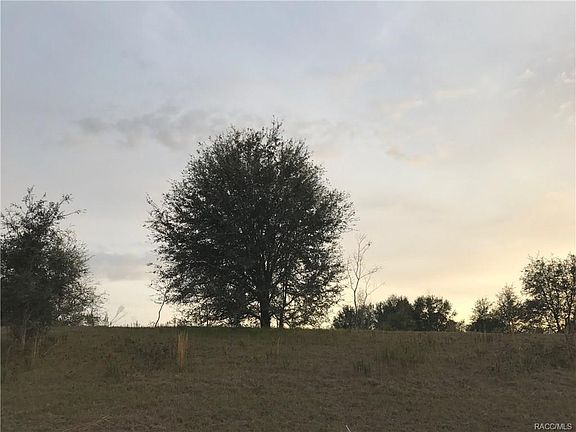 5th image of 4454 E Liza Knowlton Dr