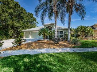 19816 Morden Blush Dr, Lutz, FL 33558