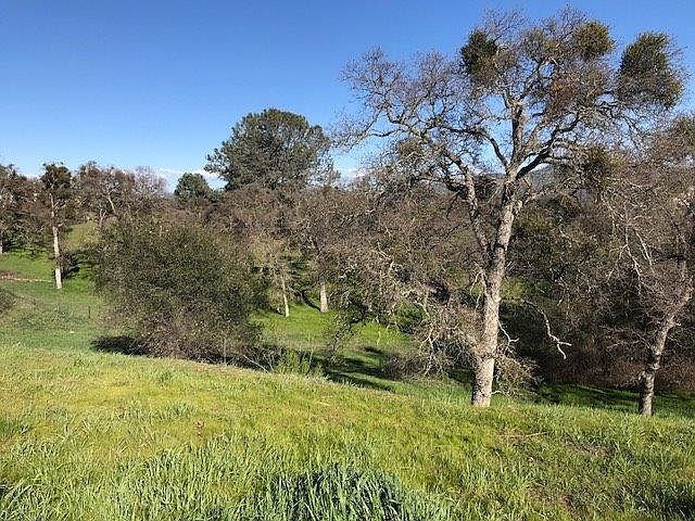 2nd image of 1075 Paradise Peak Rd