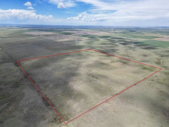 Dji 0261