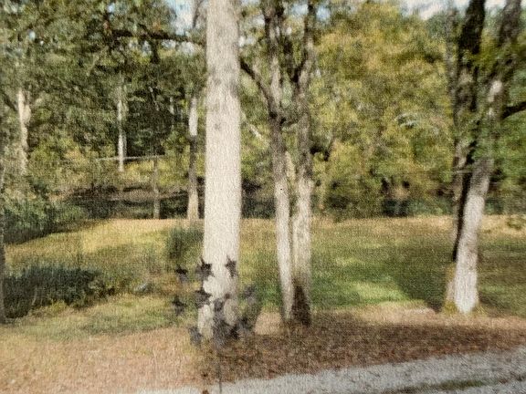 River view from porch