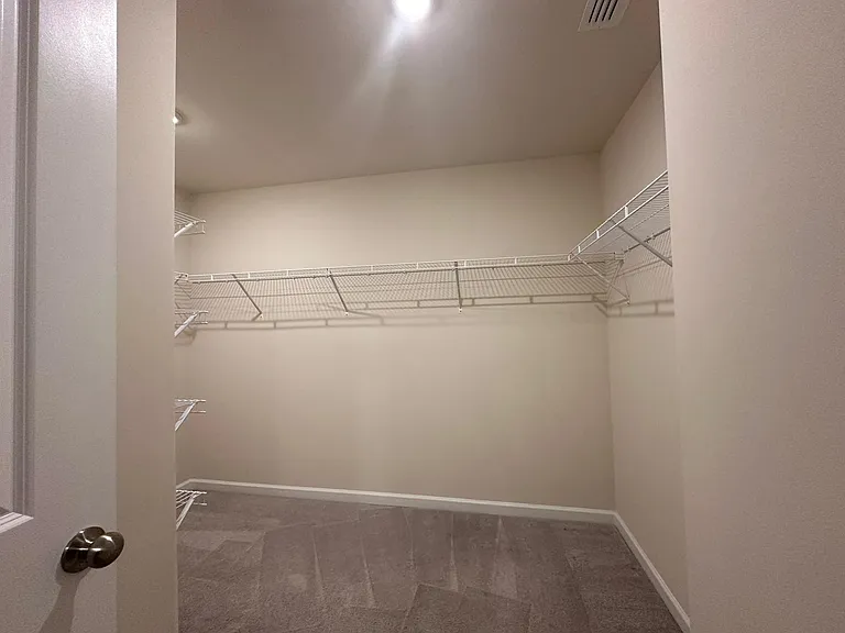 3528 Strawberry Patch Row — Photo 11
