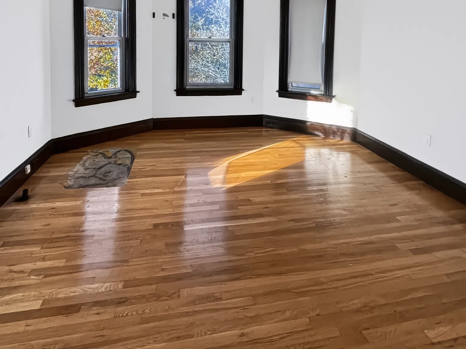 2 bed, 1150 sqft, $1,850 — Photo 3
