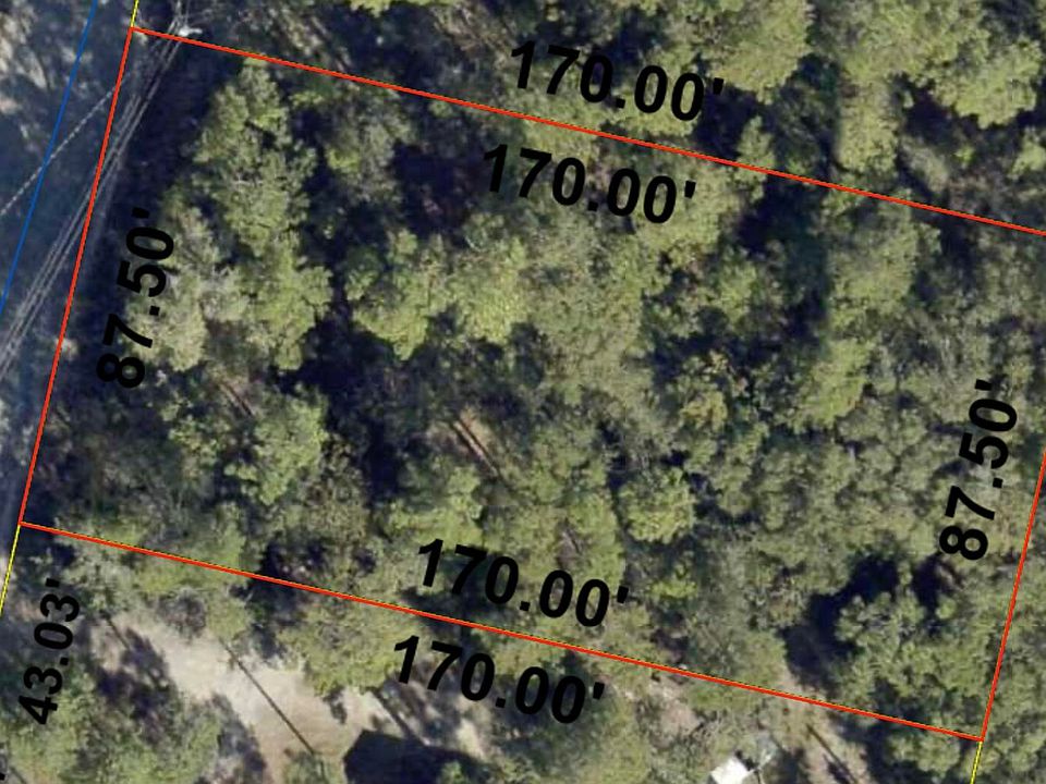 2nd image of 21 W Picasso Cir