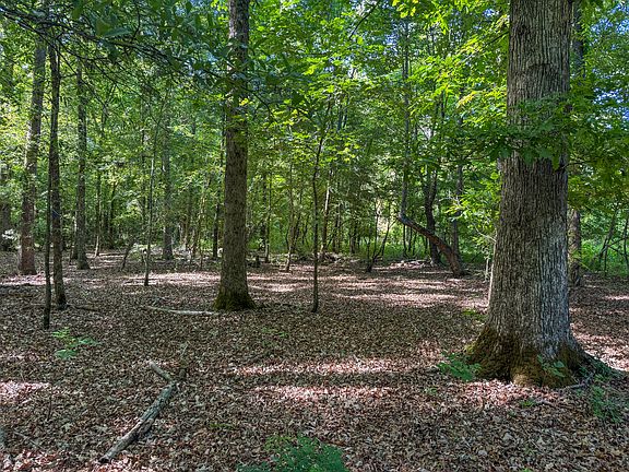 4th image of Hill Rd