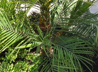 10 Aspen Leaf, Trabuco Canyon, CA 92679