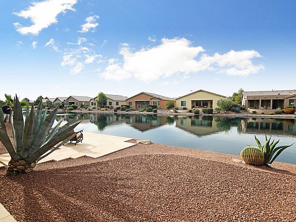 Xeriscape Yard