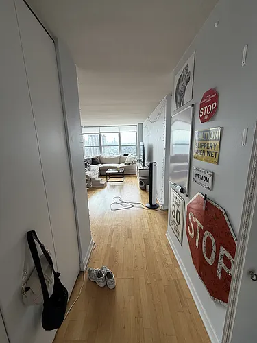 655 W Irving Park Rd #3815 Photo 1