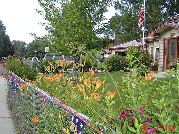 Plants,flowers all around fence