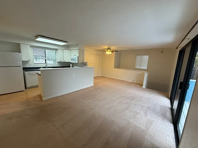 Main living area/Dining room/Kitchen