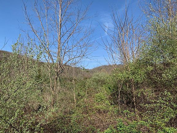 5th image of Bostic Ln