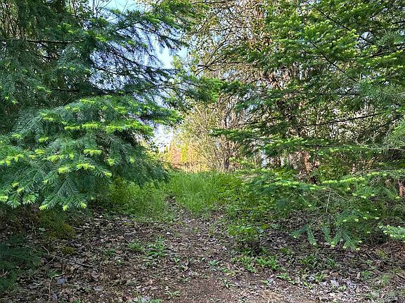 5th image of 21647 Thacker Mountain Rd