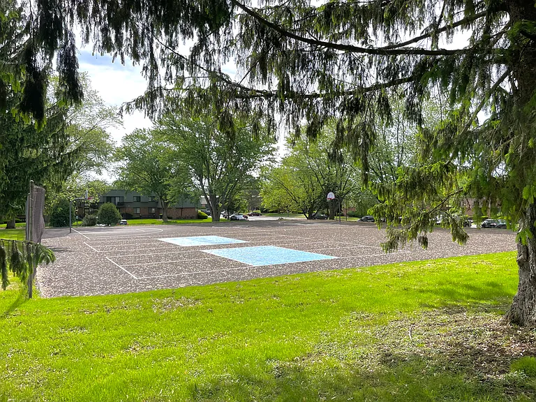 New pickleball courts 2025