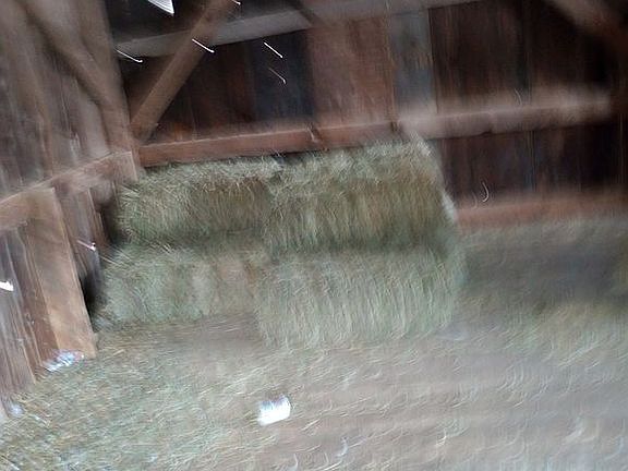5th image of 11377 W 16th Rd