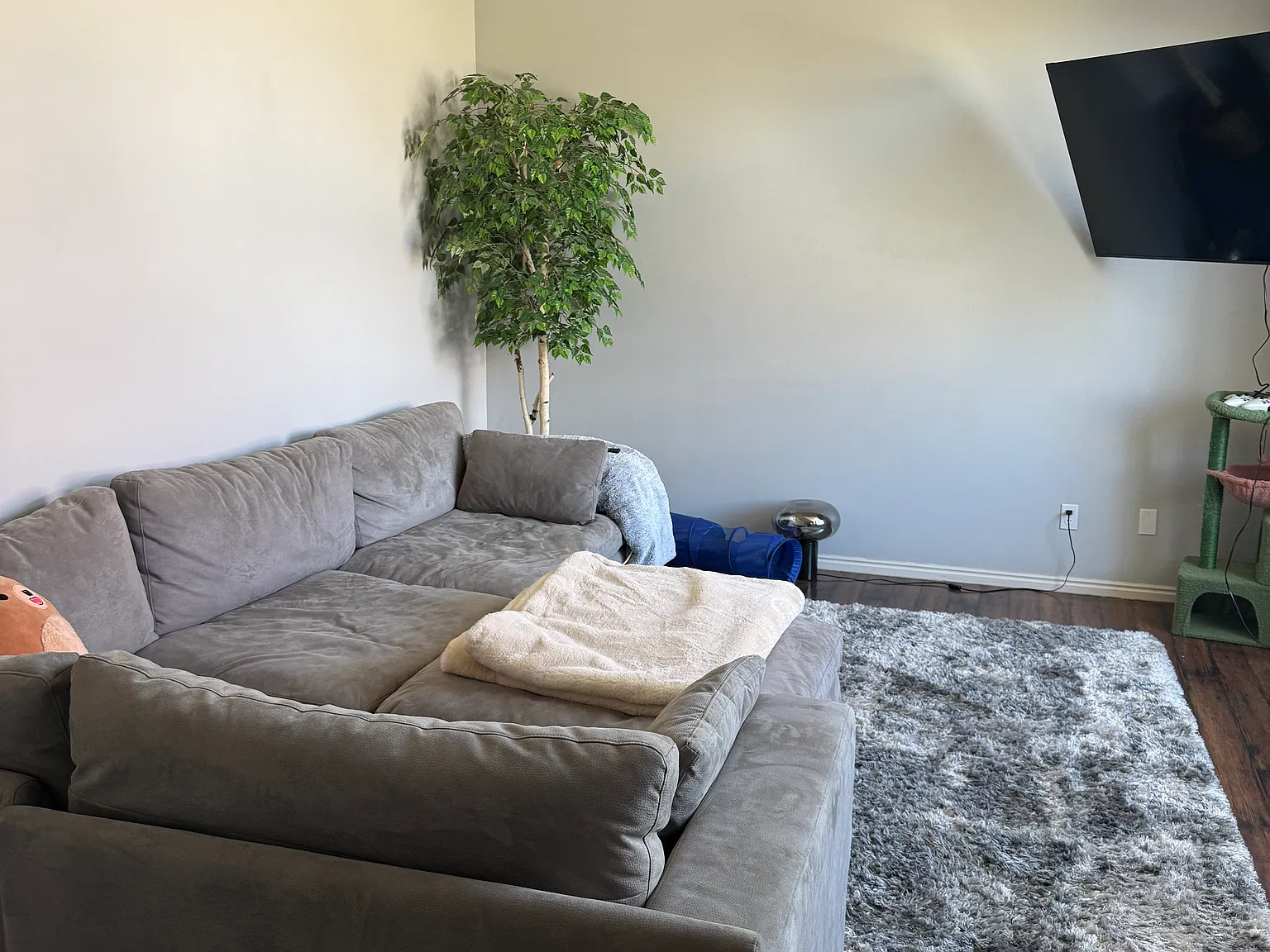 5 bed, 2370 sqft, $800 — Photo 2
