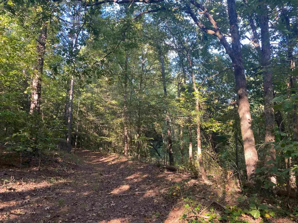0 Gann Rd Tract 5, Selmer, TN 38375