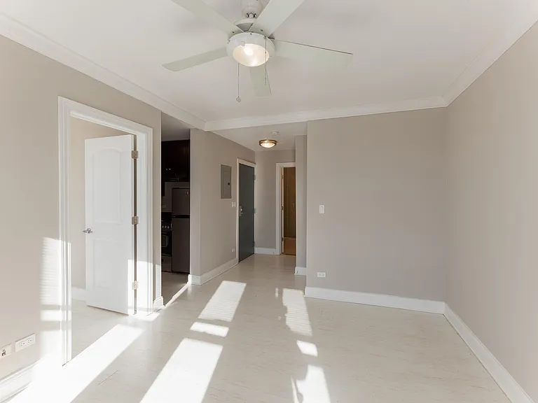 1246 W. Pratt — Photo 28