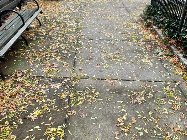 409 Edgecomb Avenue image 15 of 15