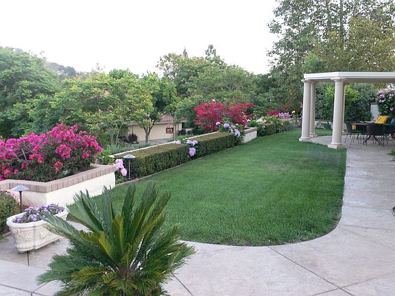 Summer view
