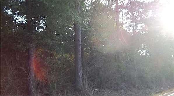 1st image of 18454 Highway 1055